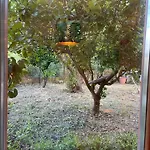 بيت للعطل Casa Da Nonna Rita