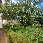 بيت للعطل Casa Da Nonna Rita *