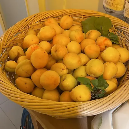 Casa Da Nonna Rita Σπίτι διακοπών *
