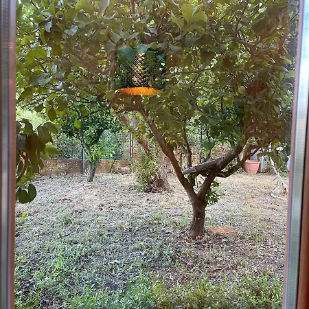 Nyaraló Casa Da Nonna Rita