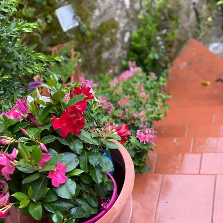 Casa Da Nonna Rita * Celso